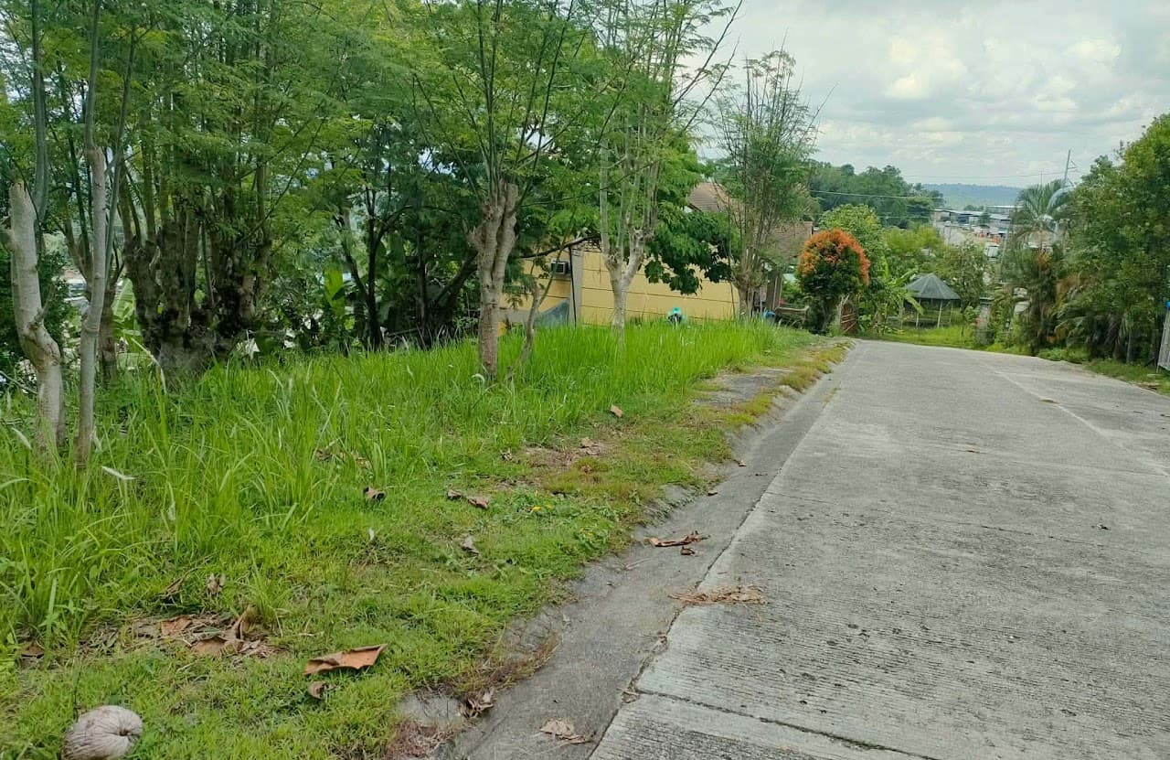 OVERLOOKING LOT | SHRINE HILLS, MATINA, DAVAO CITY | FOR SALE