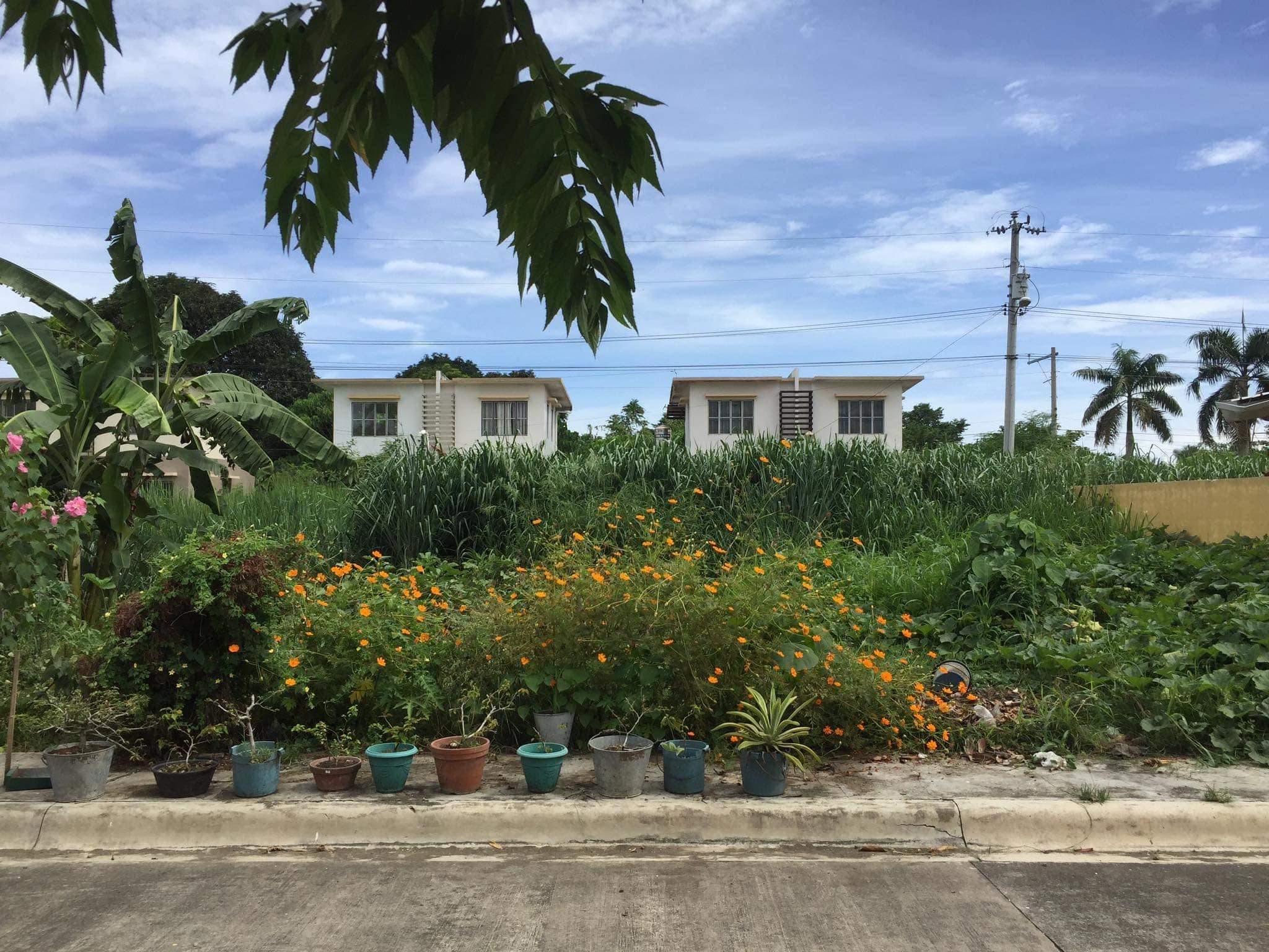 Massive Price Drop: Adjacent Lots in Villa Mercedita, Talomo
