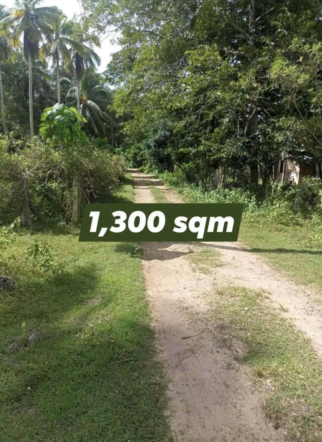 1300 sqm Lot | Toril, Babak Samal | For Sale