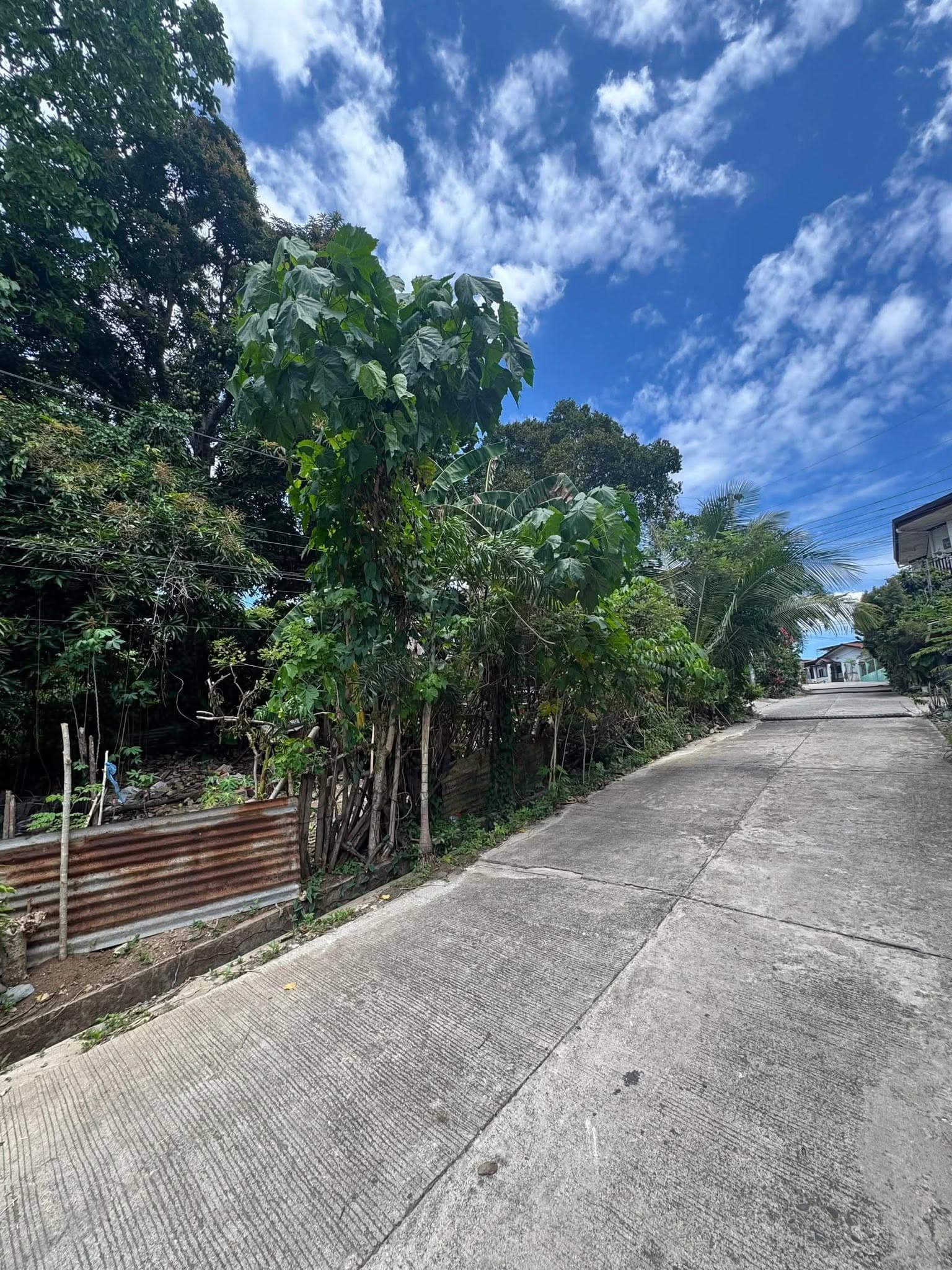 Budget Friendly | South Villa 2-100sqm Residential Lot-Catalunan Grande