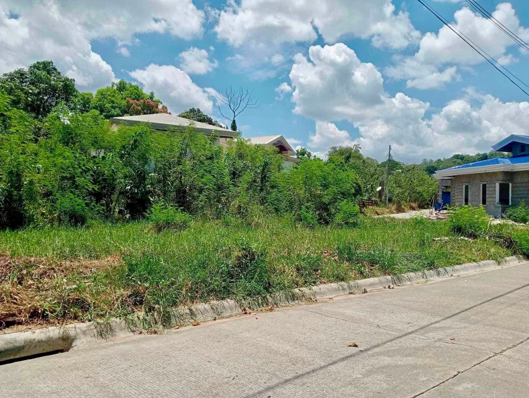 215 sqm Residential Lot | Orange Grove, Matina Pangi, Davao City | For Sale