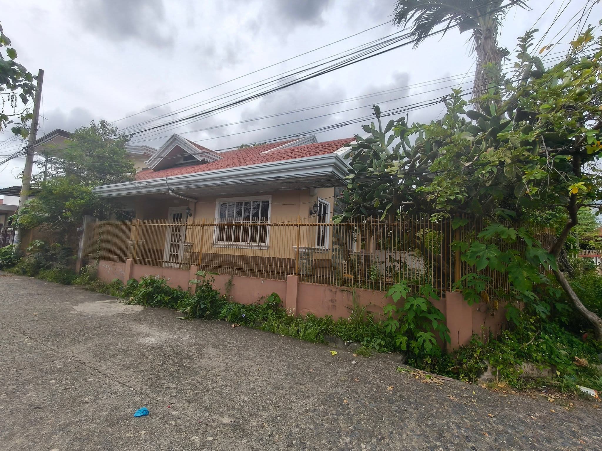 Corner House & Lot in Elenita Heights Phase 1