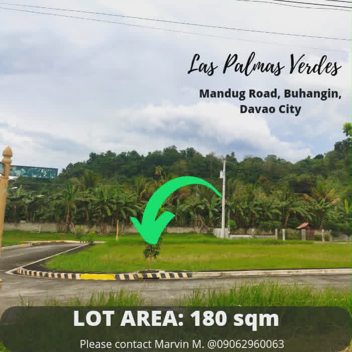 Prime 180 SQM Corner Lot in Las Palmas Verdes, Mandug